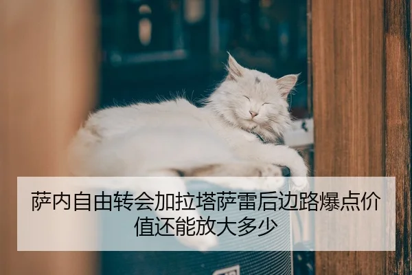 sa-nei-zi-you-zhuan-hui-jia-la-ta-sa-lei-hou-bian-lu-bao-dian-jia-zhi-hai-neng-fang-da-duo-shao-2-396.jpg
