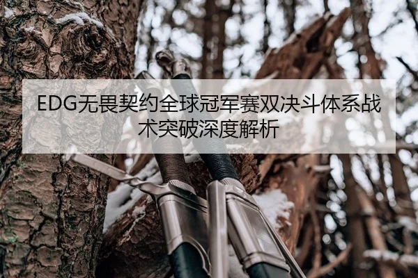EDG无畏契约全球冠军赛双决斗体系战术突破深度解析
