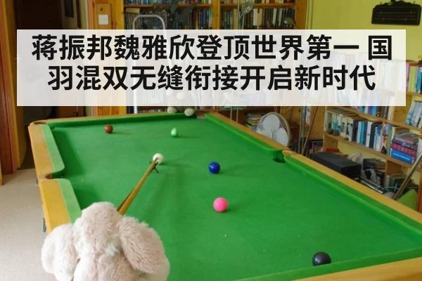 蒋振邦魏雅欣登顶世界第一 国羽混双无缝衔接开启新时代